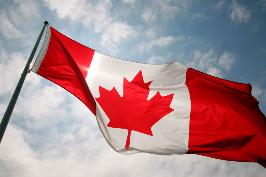 75 アメリカ カナダ 国旗 イラスト 動物ゾーン