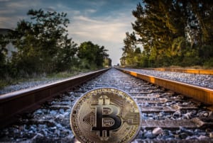 ビットコインの投資戦略