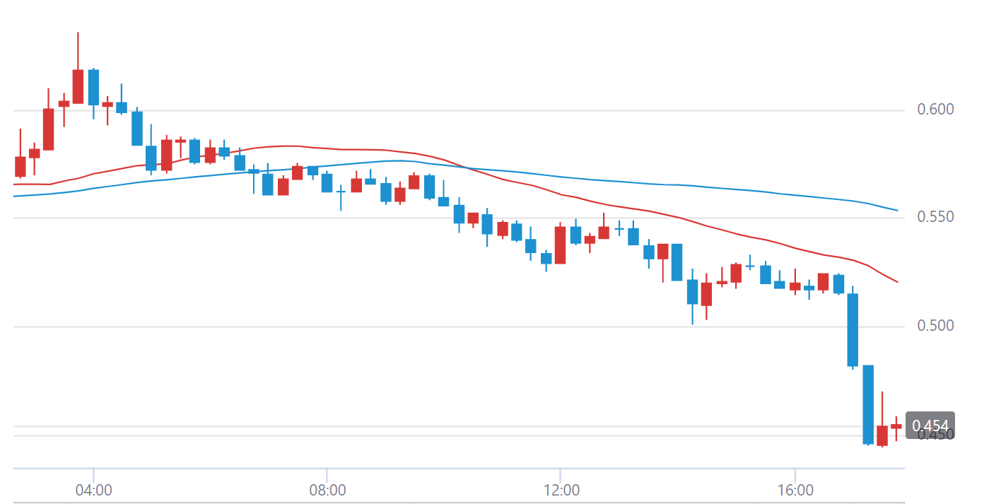 Xrp 2020 (91) 사진