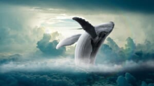 クジラは仮想通貨チェーンリンクを大量に蓄積｜Lookonchain調査
