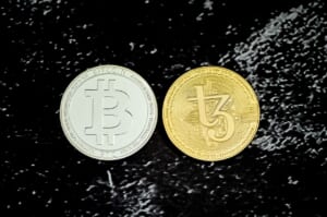 「大きな心理的変化があった」マイク・ノボグラッツ氏がビットコインスポットETFに言及