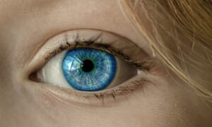 フランスのデータ保護監督機関がWorldcoinの調査へ＝イギリスに続く