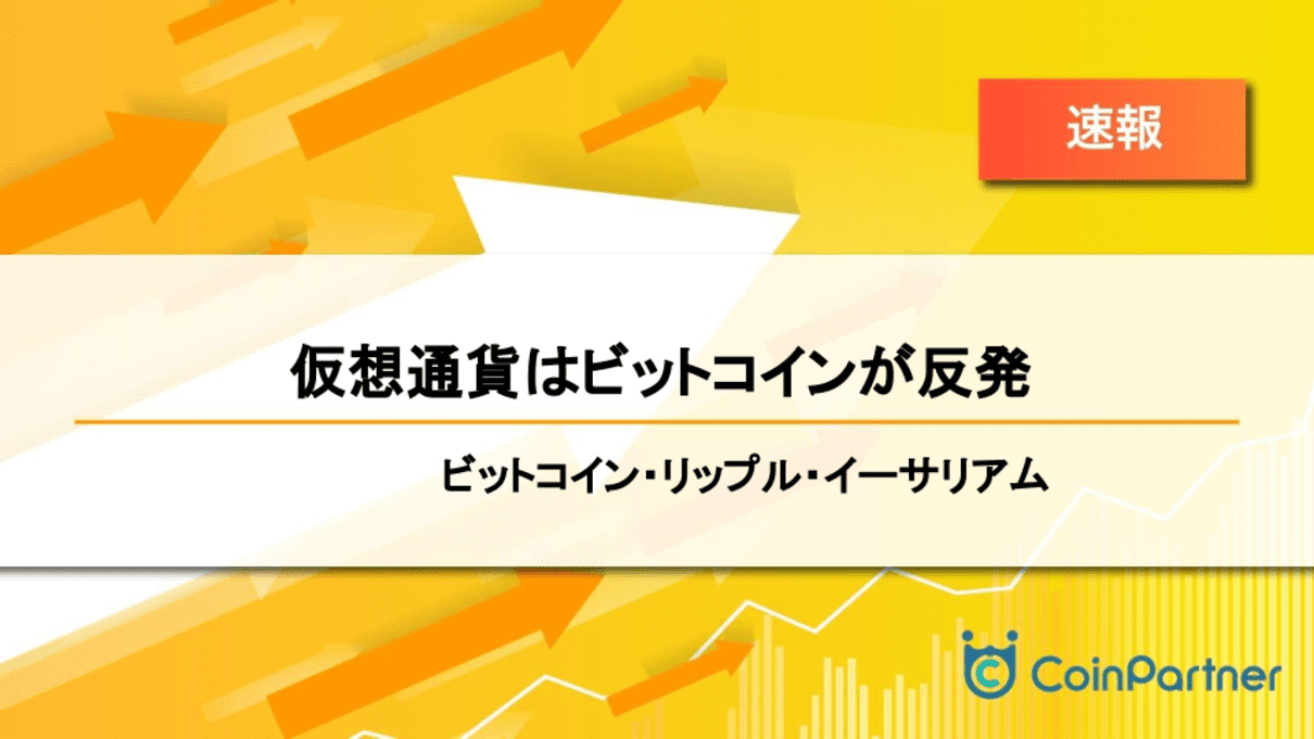 価格速報_20240503_1
