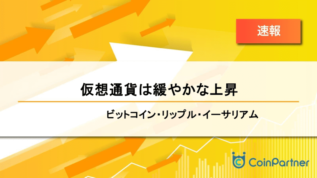価格速報_202408019_1