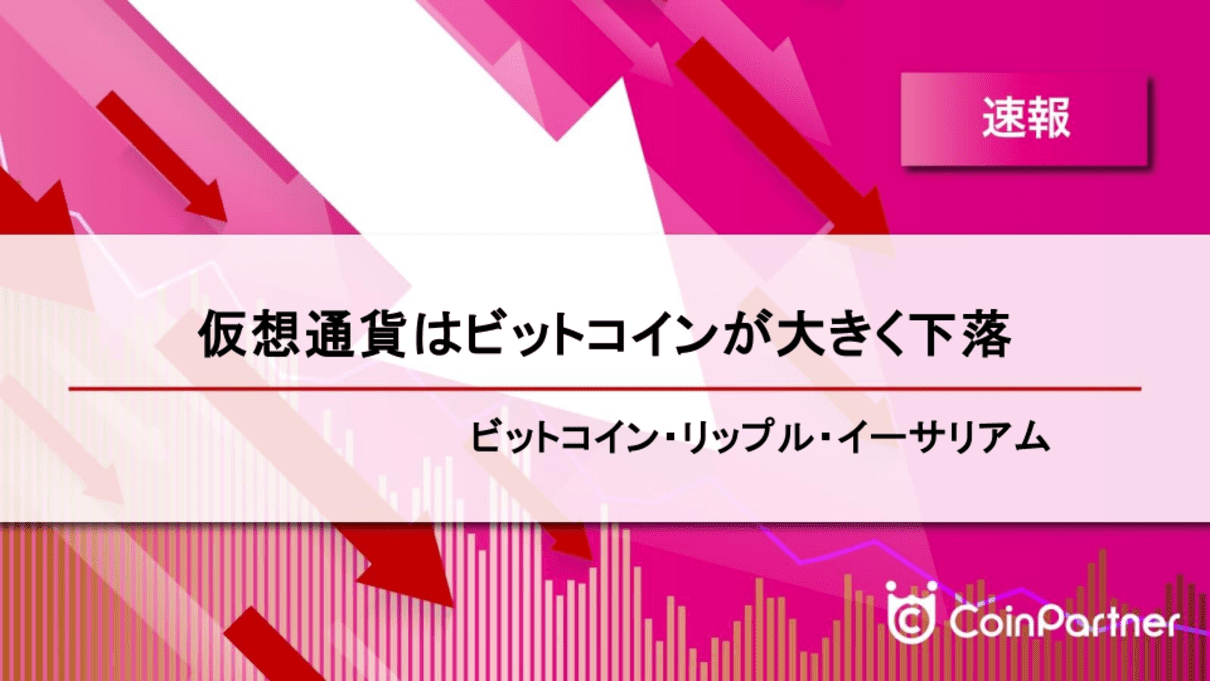 価格速報_202408029_1