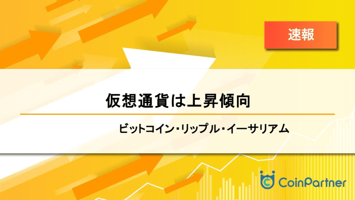 価格速報_202408014_1