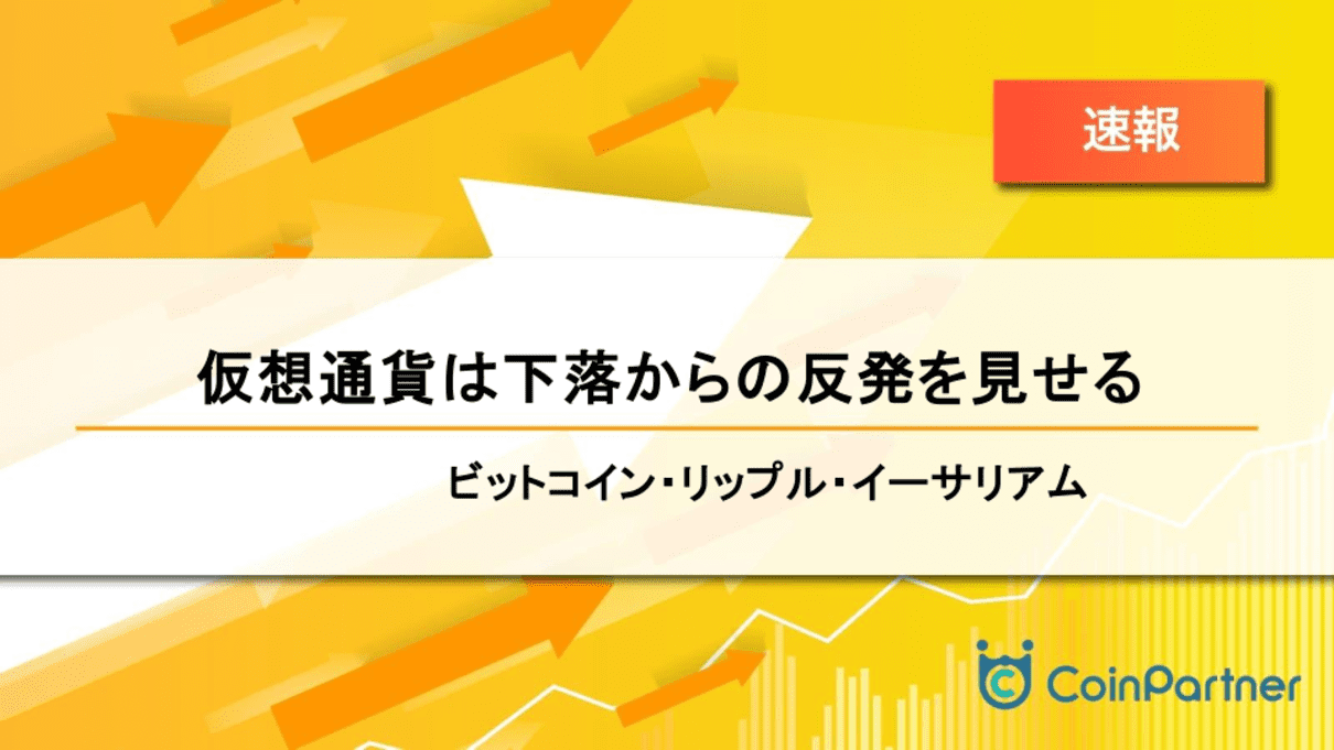 価格速報_20240903_1