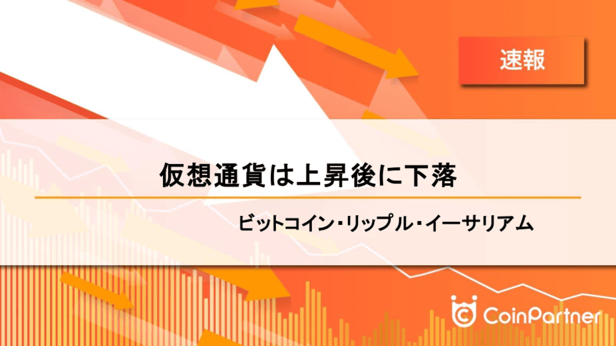 価格速報_20240909_1