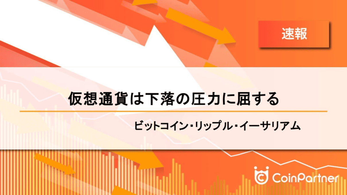 価格速報_20241010_1