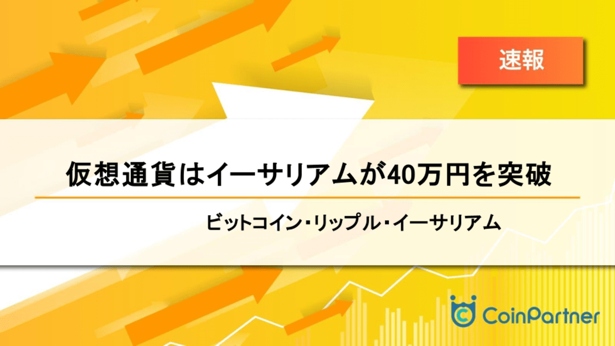 価格速報_20241021_1