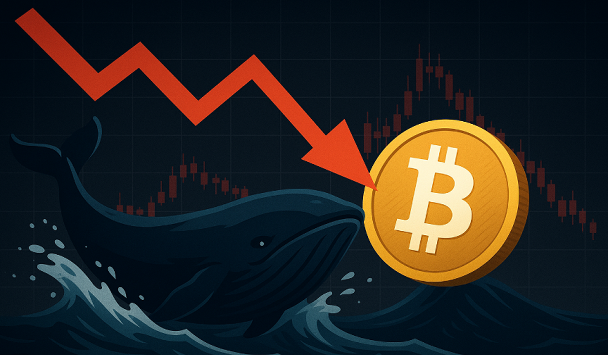 クジラ蓄積停止でビットコイン警戒、建玉も2021年以来過去最低水準に接近 – CoinPartner(コインパートナー)