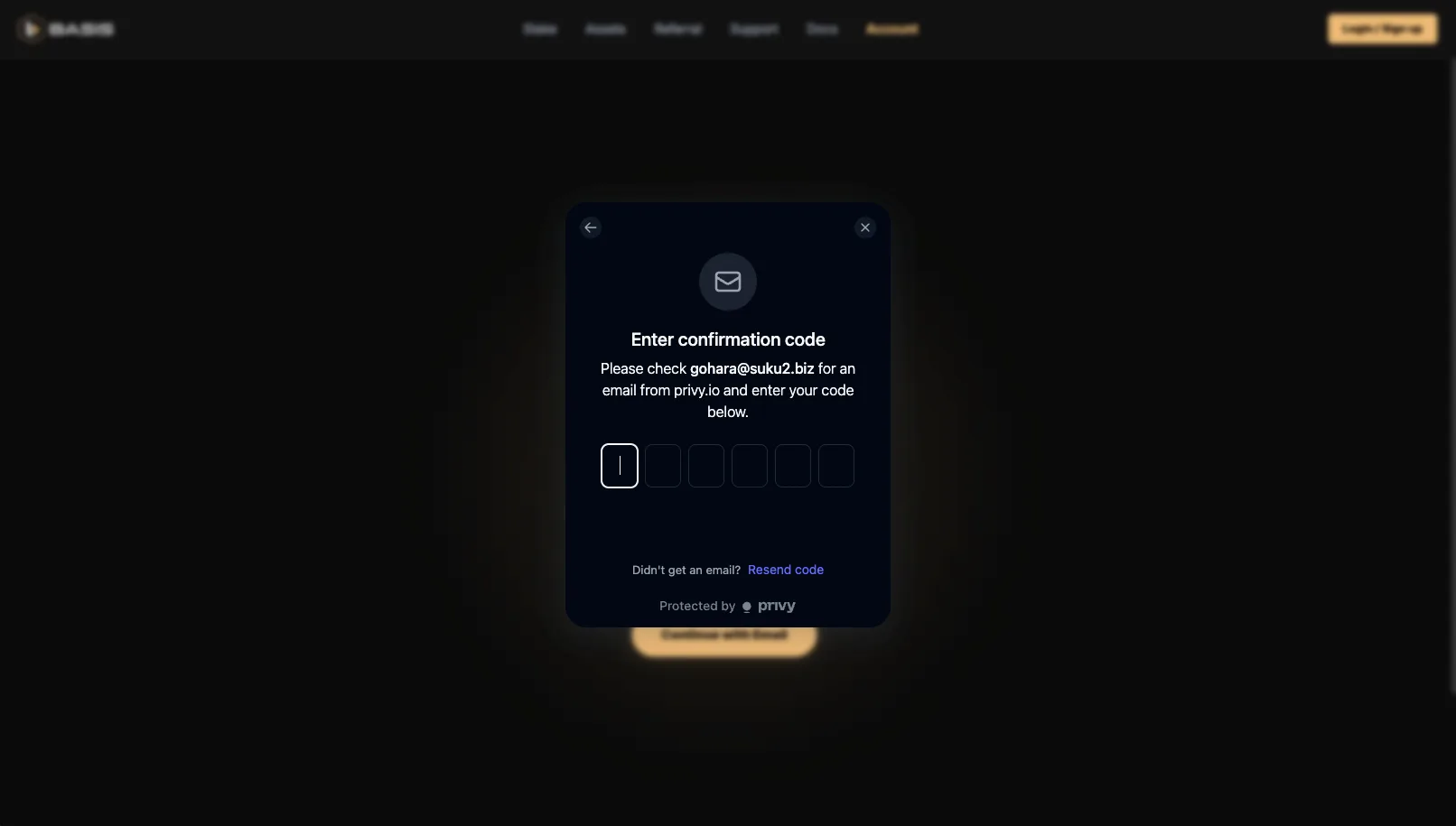 Basis Pro 使い方 ステップ4 確認コード入力